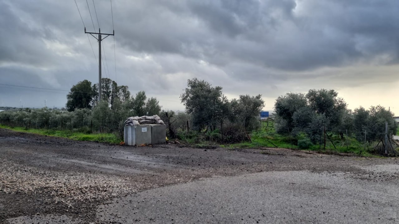 צילום: דותן יוסף