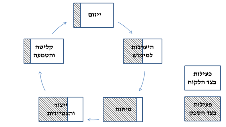 פעילות בצד הלקוח ובצד הספק