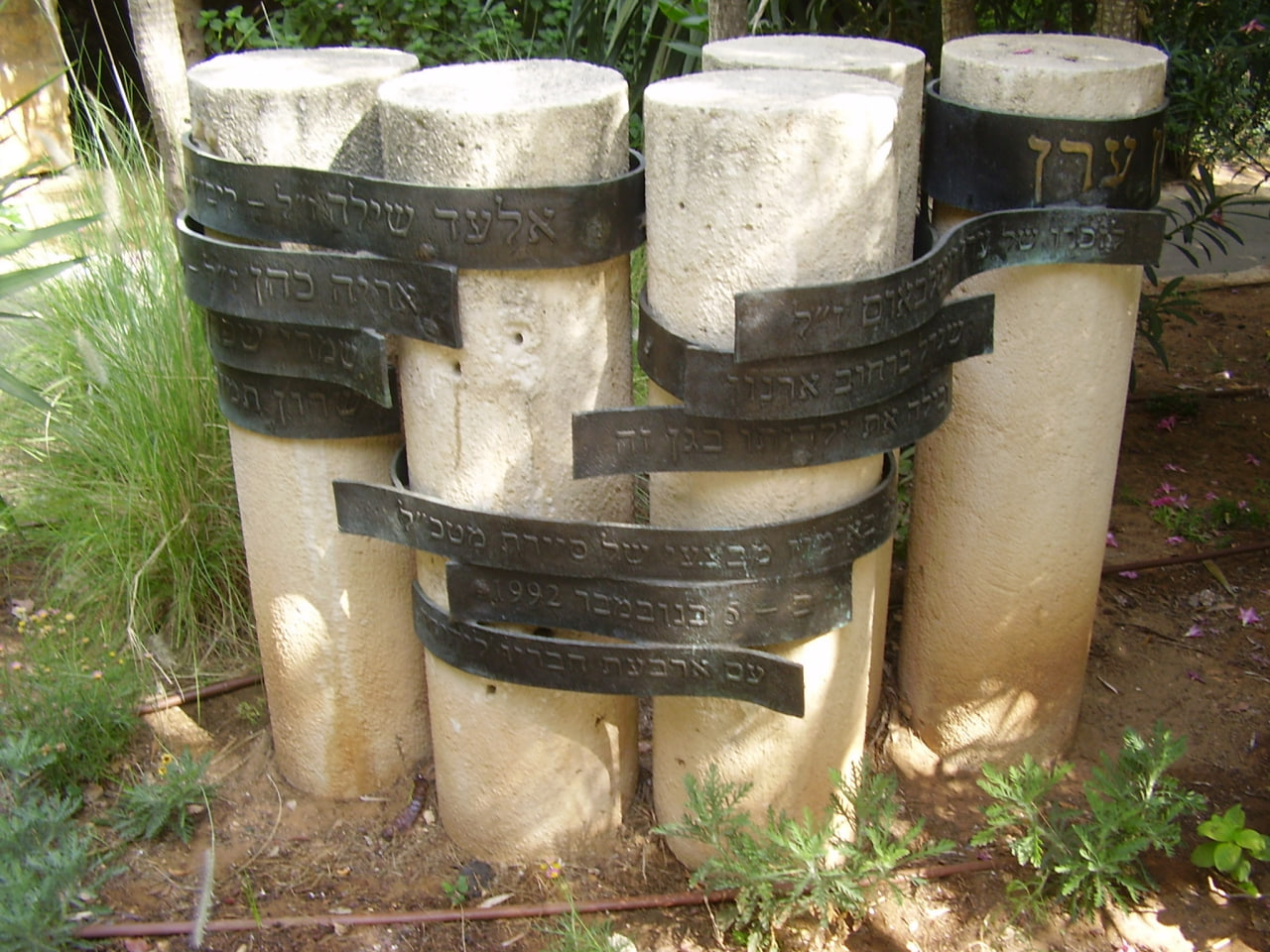 צילום: אבישי טייכר