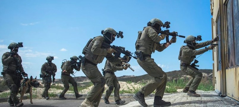 לוחמי יחידת שלדג בפעולה. צילום: דו"ץ