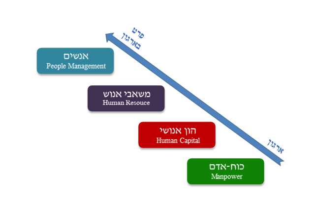 התפתחות משאבי אנוש