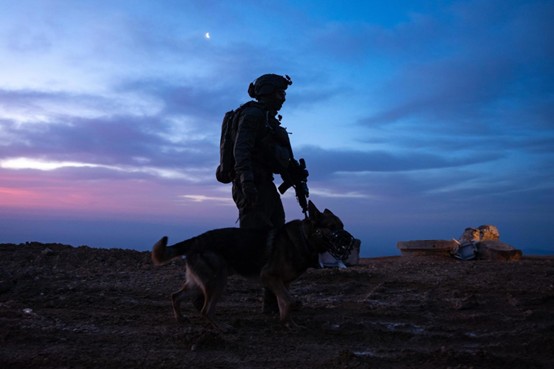 כוחות מאוגדה 210 בגבול סוריה. צילום: דו"ץ